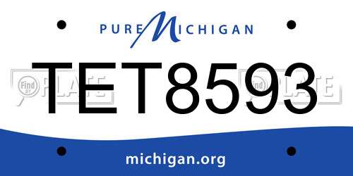 TET8593 Michigan License Plate