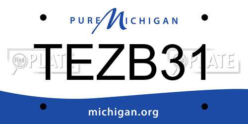 TEZB31 Michigan License Plate