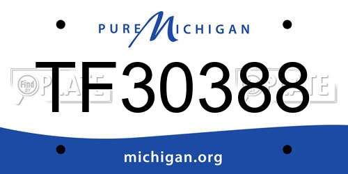 TF30388 Michigan License Plate
