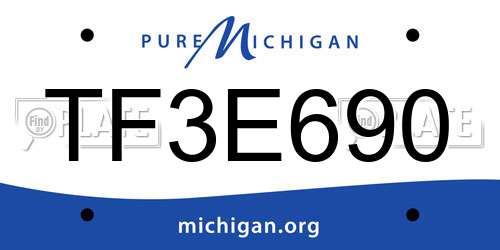 TF3E690 Michigan License Plate