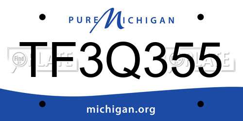 TF3Q355 Michigan License Plate