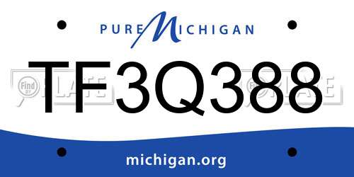 TF3Q388 Michigan License Plate