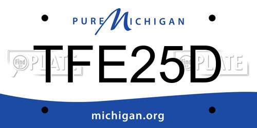 TFE25D Michigan License Plate