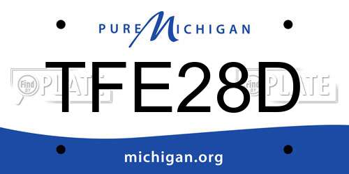 TFE28D Michigan License Plate
