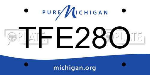 TFE28O Michigan License Plate
