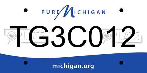 TG3C012 Michigan License Plate
