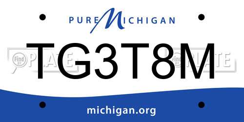 TG3T8M Michigan License Plate