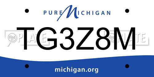 TG3Z8M Michigan License Plate