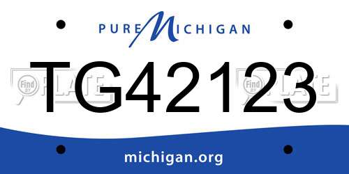 TG42123 Michigan License Plate