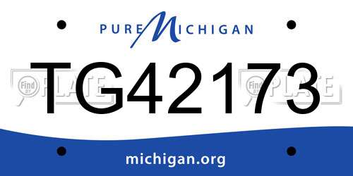 TG42173 Michigan License Plate