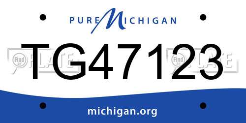 TG47123 Michigan License Plate