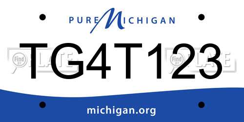 TG4T123 Michigan License Plate