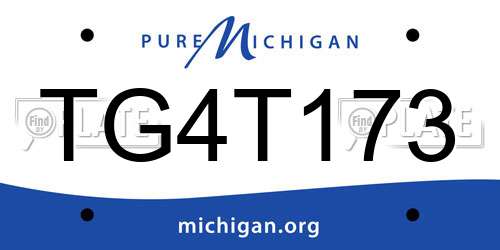 TG4T173 Michigan License Plate