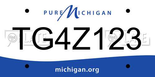 TG4Z123 Michigan License Plate