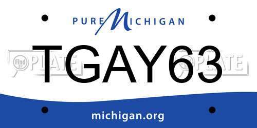 TGAY63 Michigan License Plate