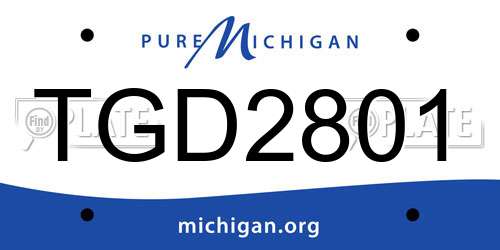 TGD2801 Michigan License Plate