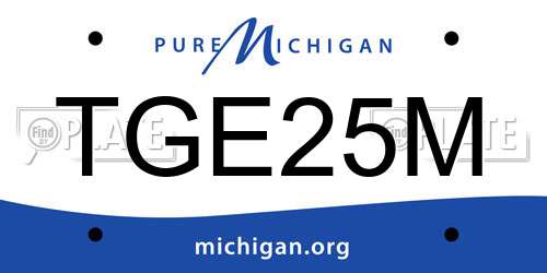 TGE25M Michigan License Plate