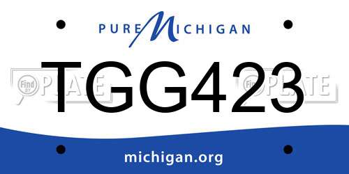 TGG423 Michigan License Plate