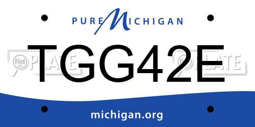 TGG42E Michigan License Plate