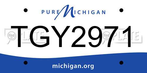 TGY2971 Michigan License Plate