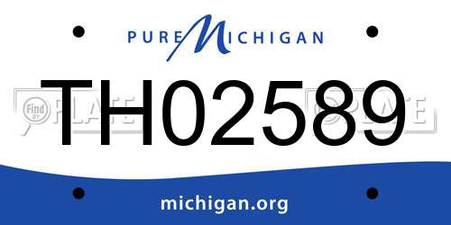TH02589 Michigan License Plate