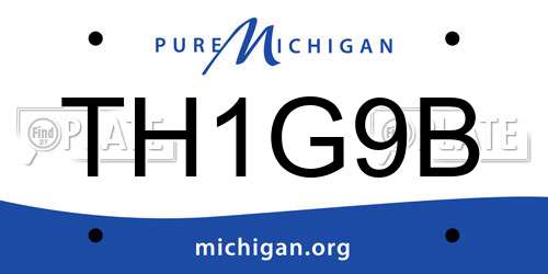 TH1G9B Michigan License Plate