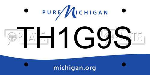 TH1G9S Michigan License Plate