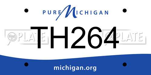 TH264 Michigan License Plate
