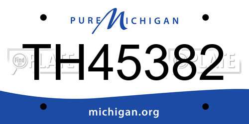 TH45382 Michigan License Plate