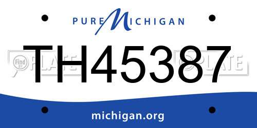 TH45387 Michigan License Plate