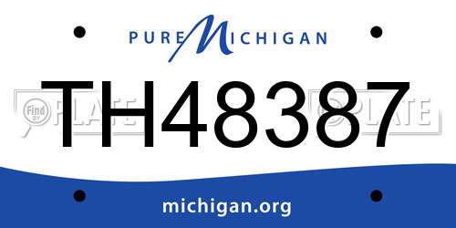 TH48387 Michigan License Plate