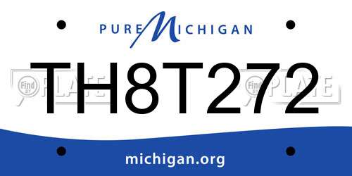 TH8T272 Michigan License Plate