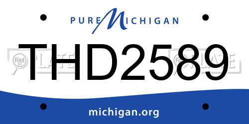 THD2589 Michigan License Plate