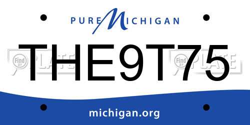 THE9T75 Michigan License Plate