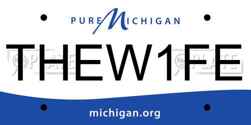 THEW1FE Michigan License Plate
