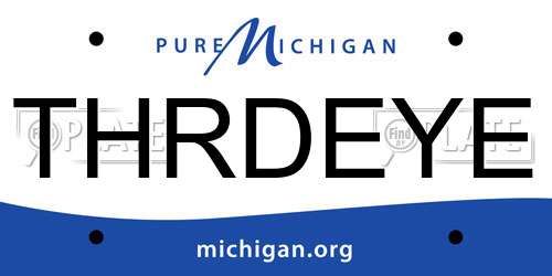 THRDEYE Michigan License Plate