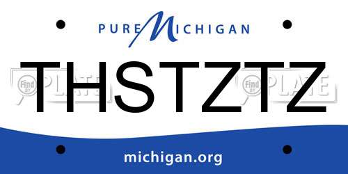 THSTZTZ Michigan License Plate