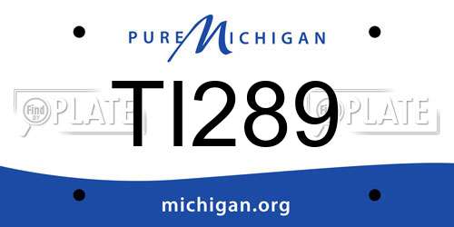 TI289 Michigan License Plate