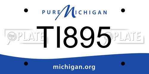 TI895 Michigan License Plate