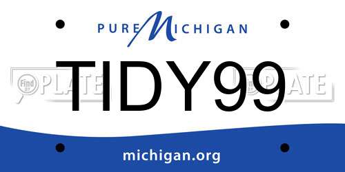 TIDY99 Michigan License Plate