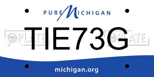 TIE73G Michigan License Plate