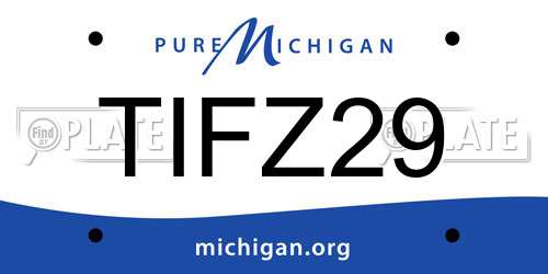 TIFZ29 Michigan License Plate