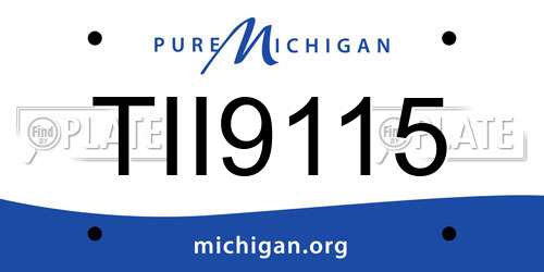 TII9115 Michigan License Plate