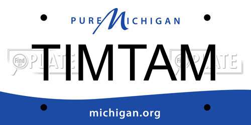 TIMTAM Michigan License Plate