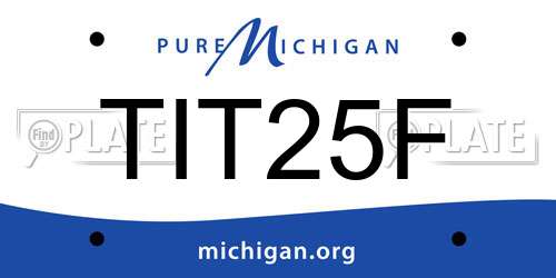 TIT25F Michigan License Plate