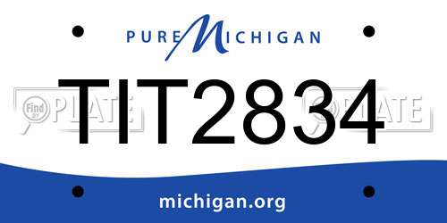 TIT2834 Michigan License Plate