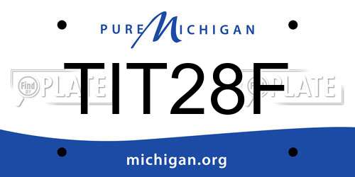 TIT28F Michigan License Plate