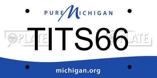 TITS66 Michigan License Plate