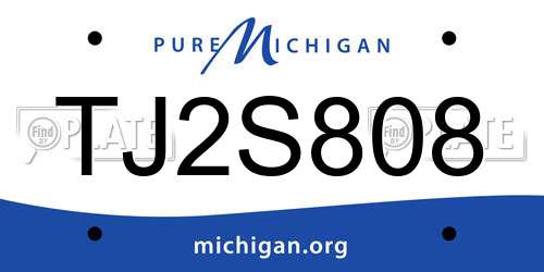 TJ2S808 Michigan License Plate