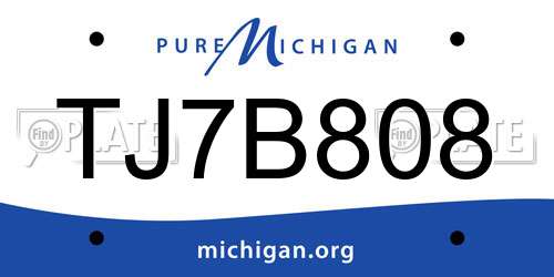 TJ7B808 Michigan License Plate